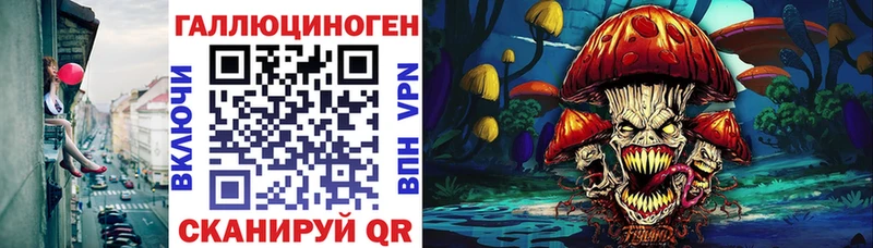 Псилоцибиновые грибы GOLDEN TEACHER  как найти закладки  Михайлов 